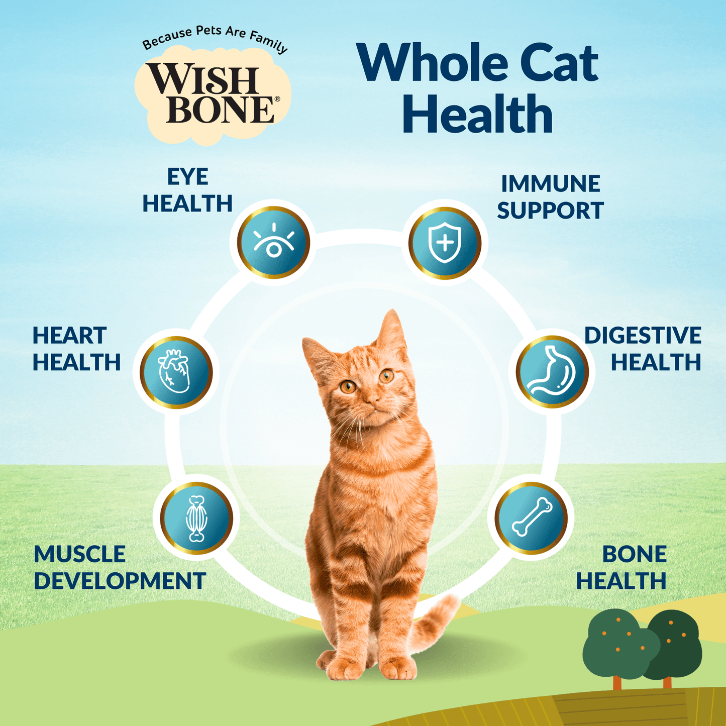 Wishbone Dry Cat Food Trial Pack Bundle - Wishbone Pet Foods NZ