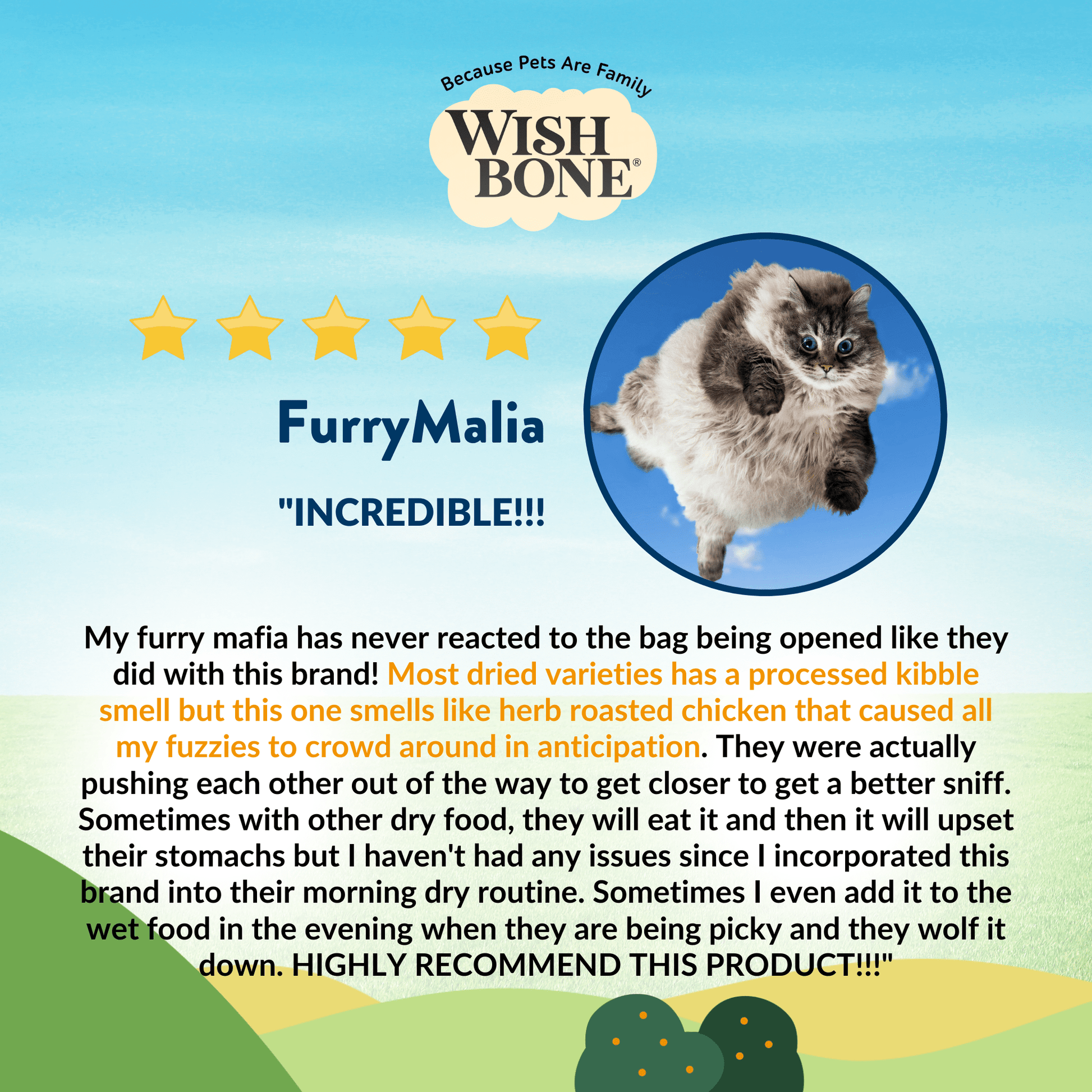 Wishbone Dry Cat Food Trial Pack Bundle - Wishbone Pet Foods NZ