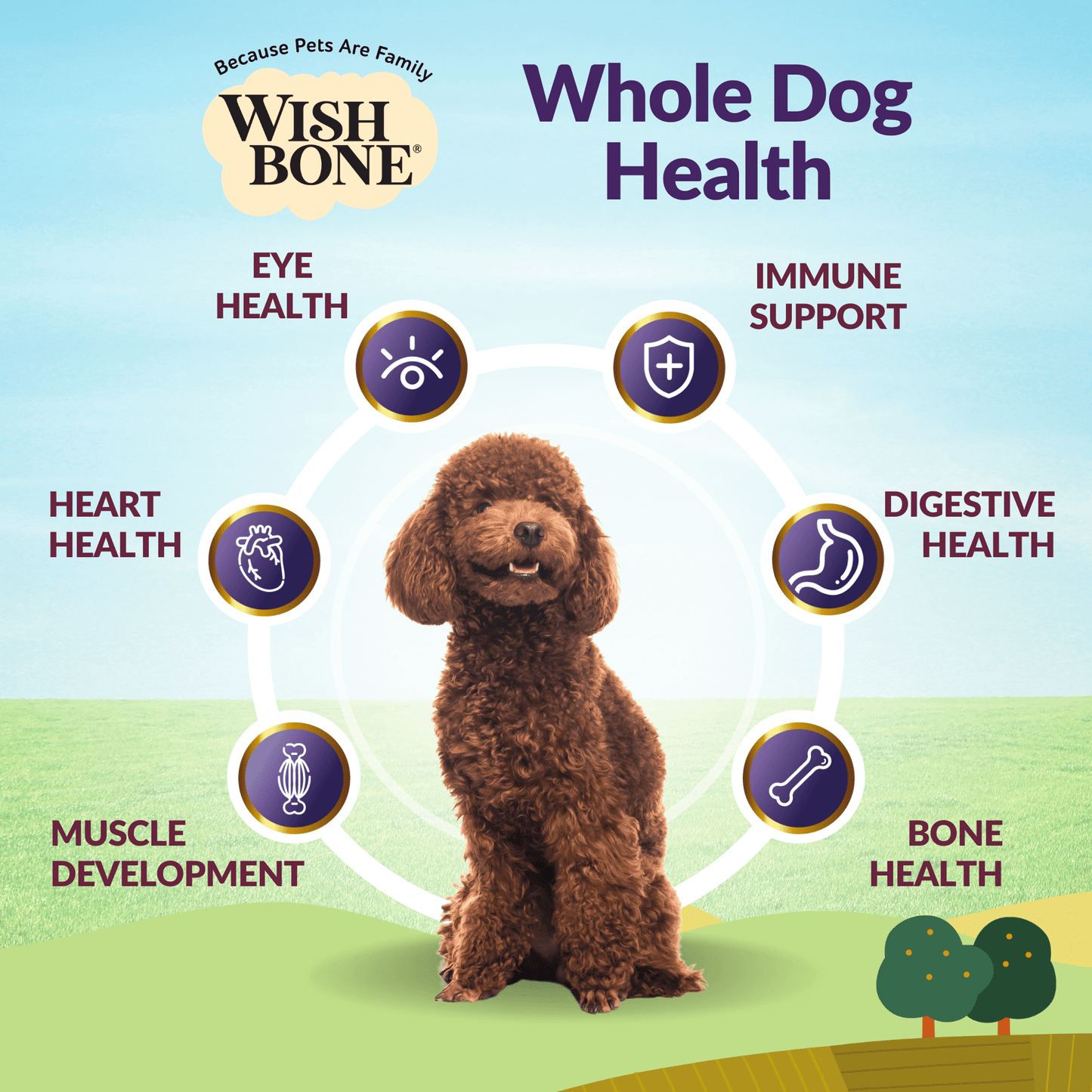 Wishbone Dry Dog Food Trial Pack Bundle - Wishbone Pet Foods NZ