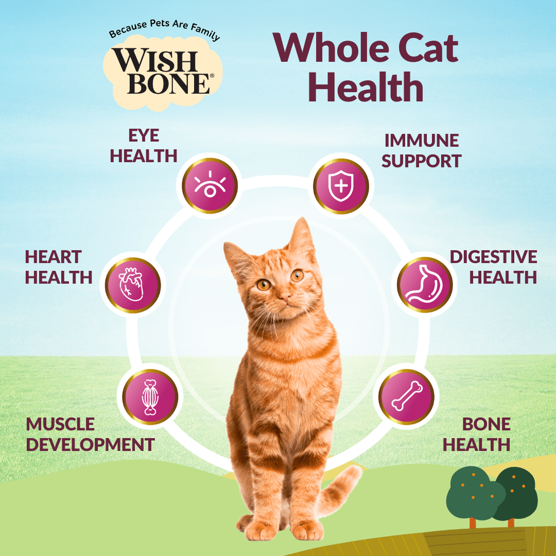 Beef and lamb kibble for adult cats