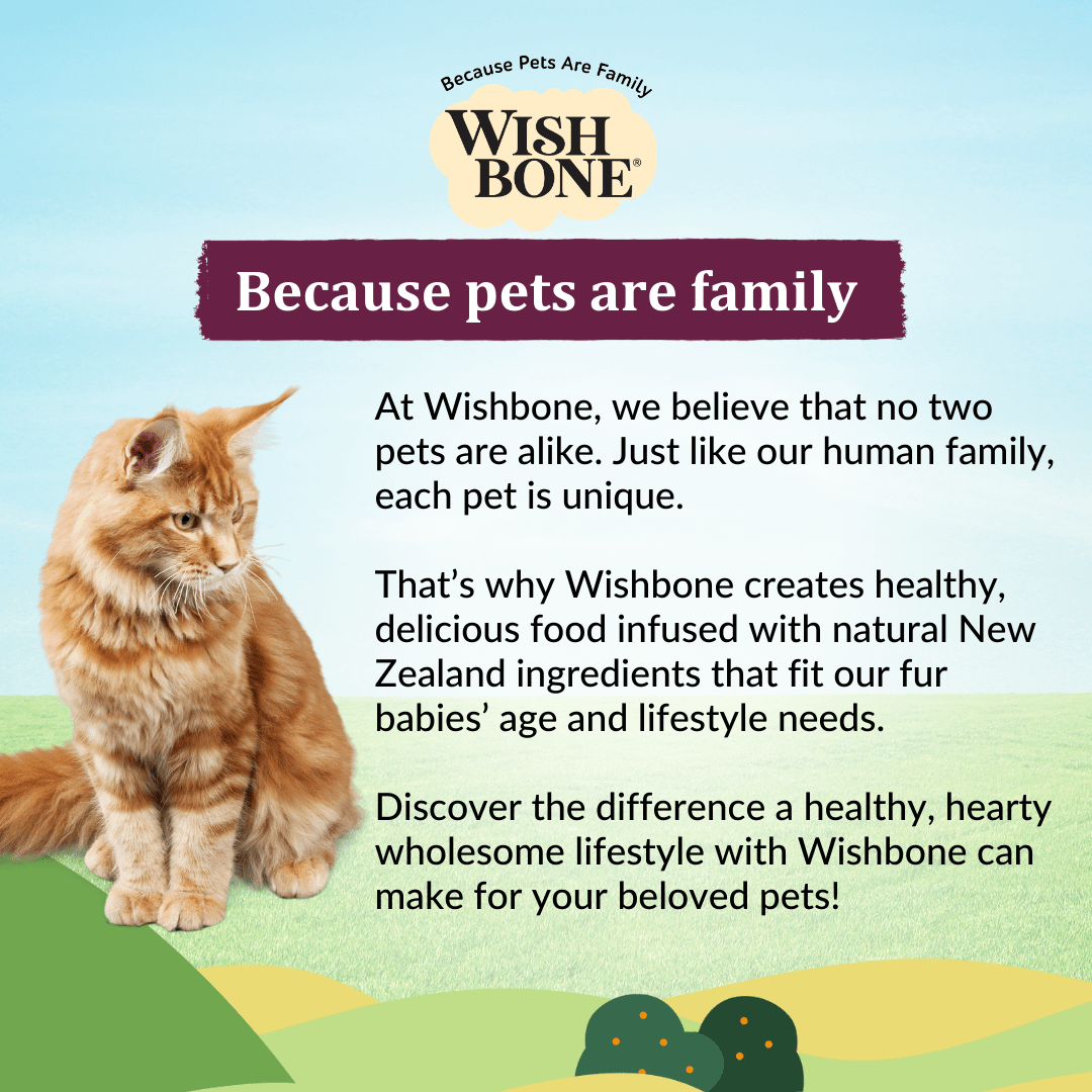 Complete and balanced New Zealand cat food