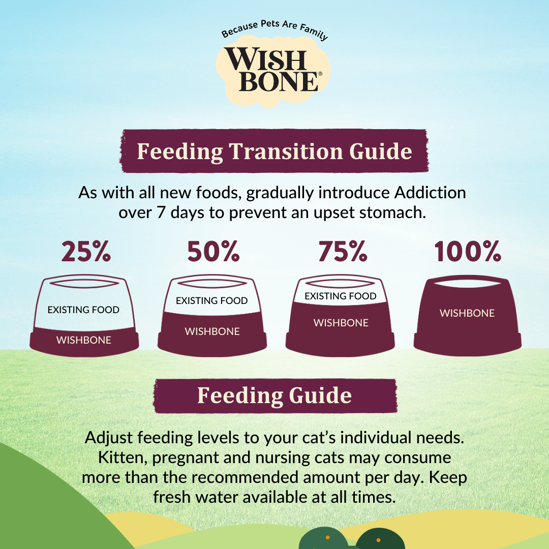 Wishbone Graze cat kibble close-up