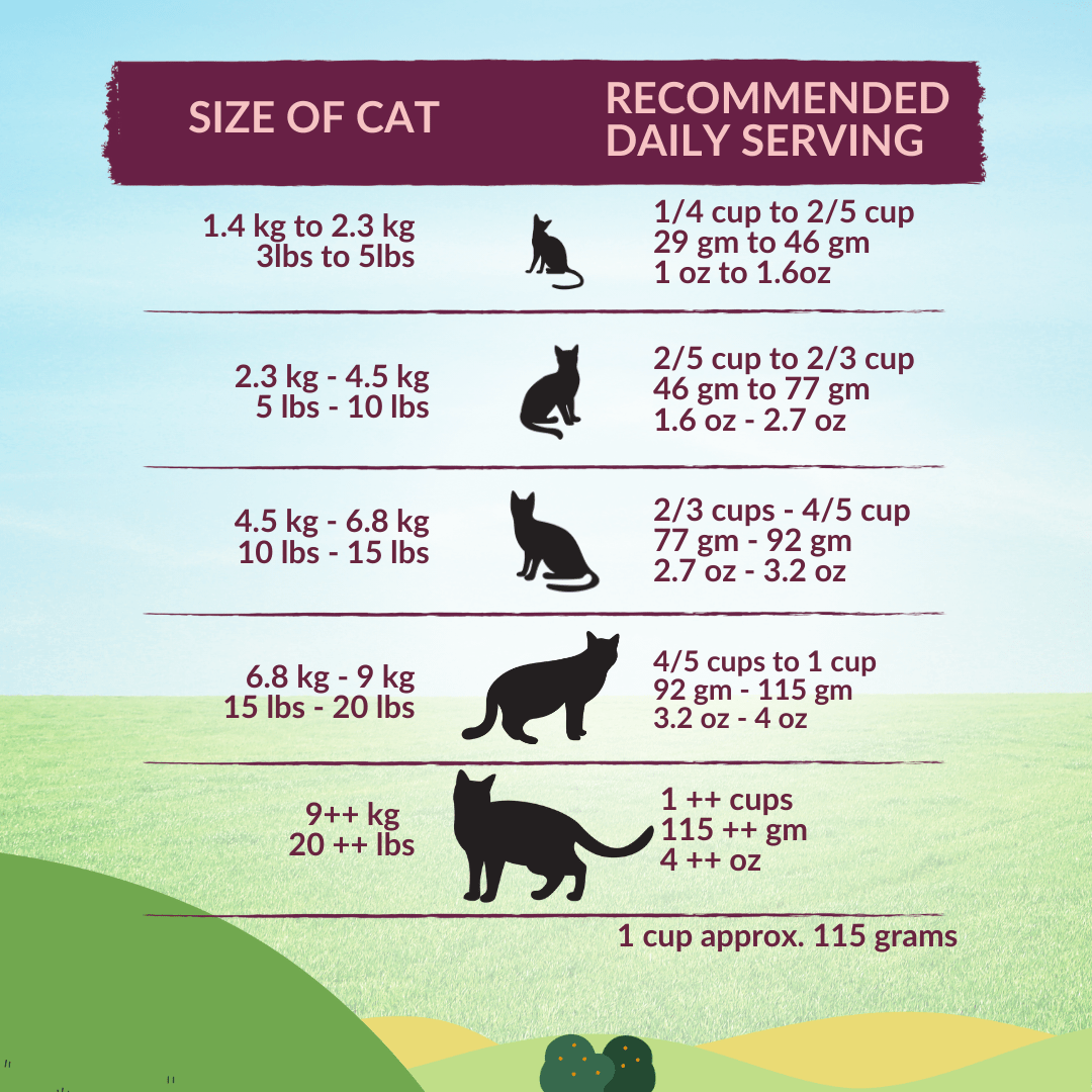 Healthy beef and lamb recipe for cats