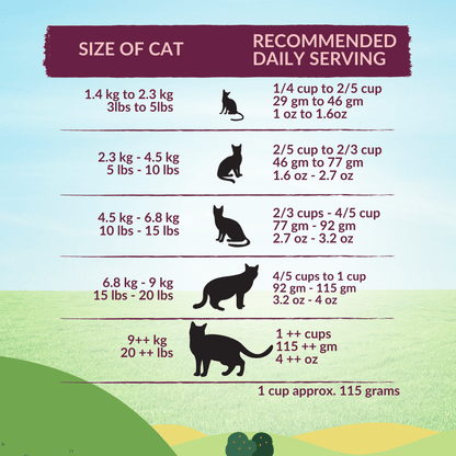 Healthy beef and lamb recipe for cats