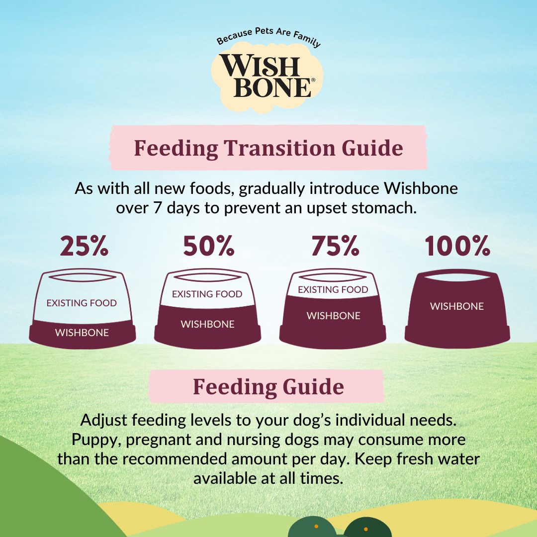 Healthy beef and lamb dry dog food for dogs