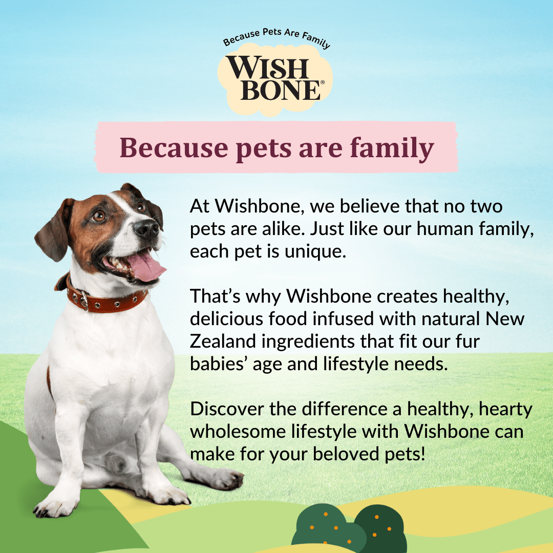 New Zealand beef and lamb kibble for adult dogs