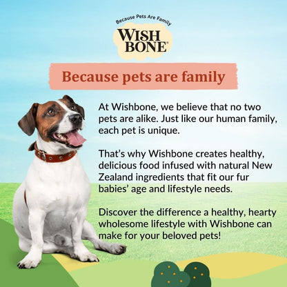 Plant protein dog food made with natural ingredients