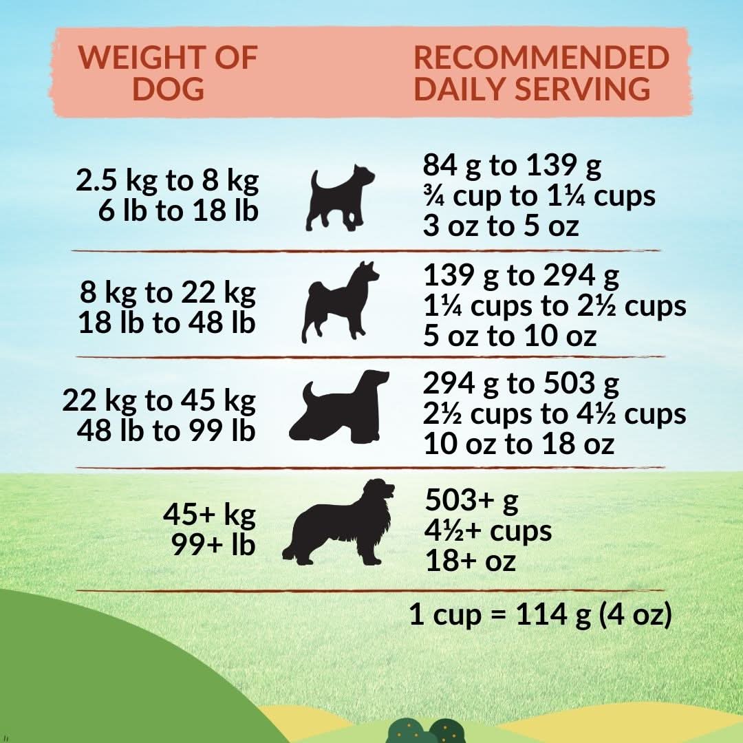 Wishbone Harvest dry dog food for sensitive stomachs