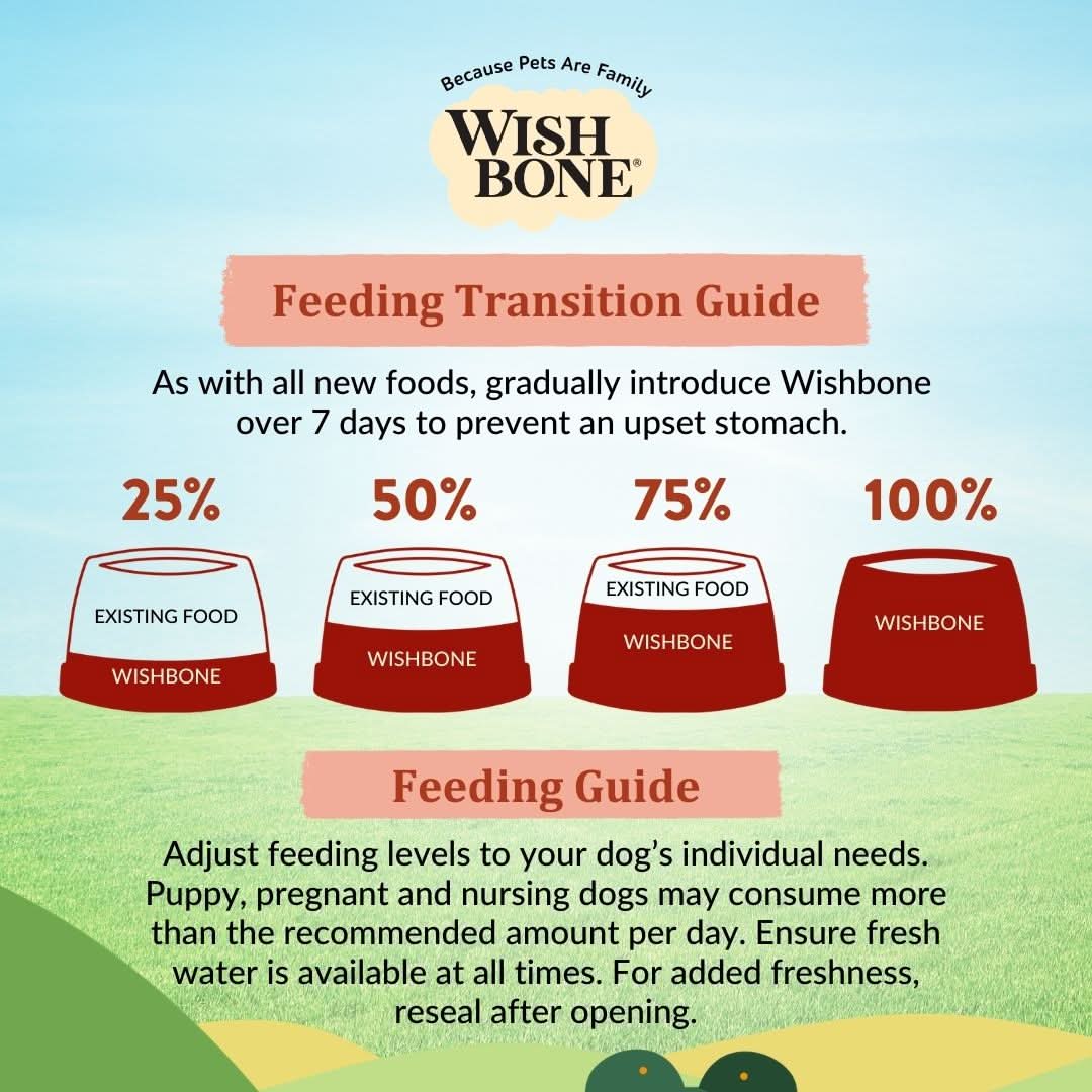 Healthy vegetarian recipe for adult dogs by Wishbone