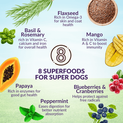 Complete and balanced salmon cat food