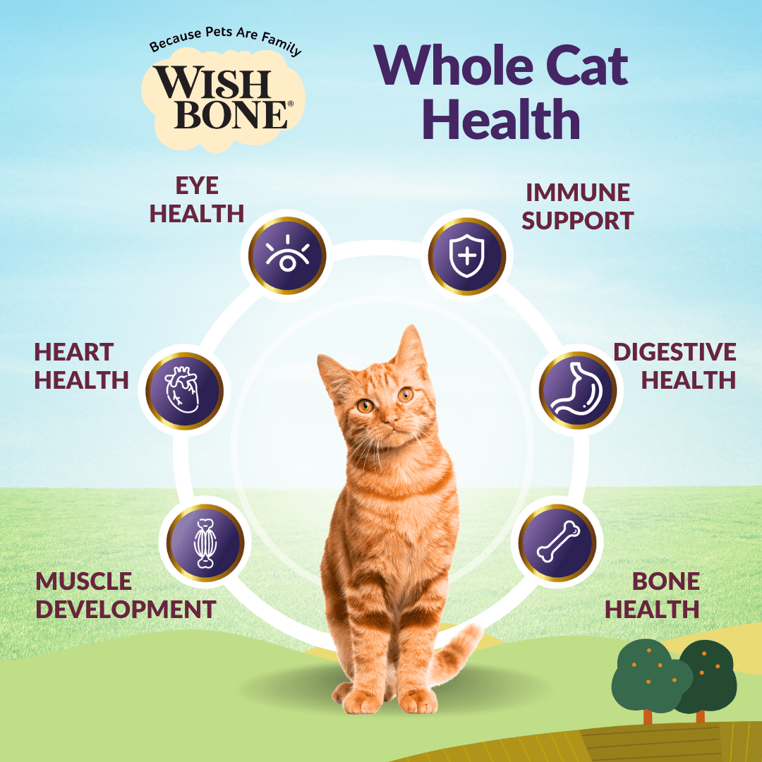 Grain-free dry cat food for adult cats