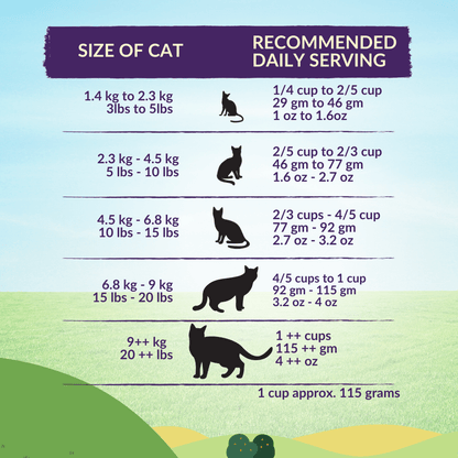 Healthy skin and coat cat food