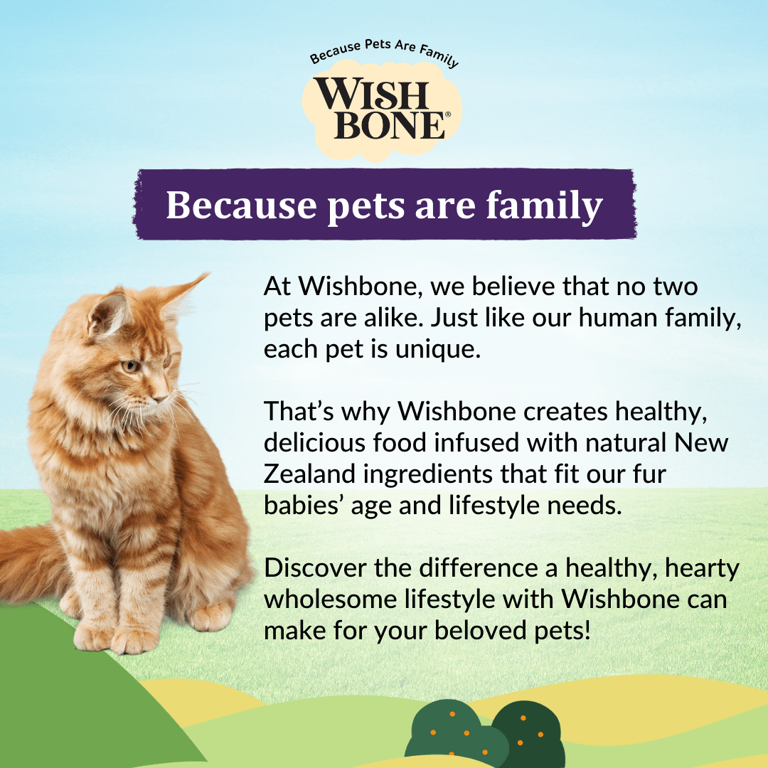 Premium New Zealand cat food with salmon