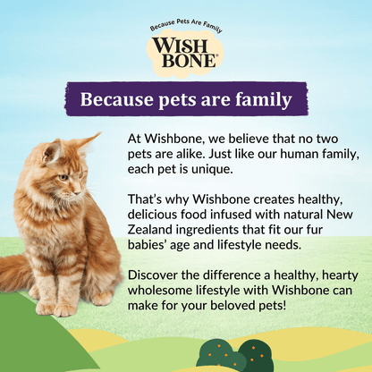 Premium New Zealand cat food with salmon