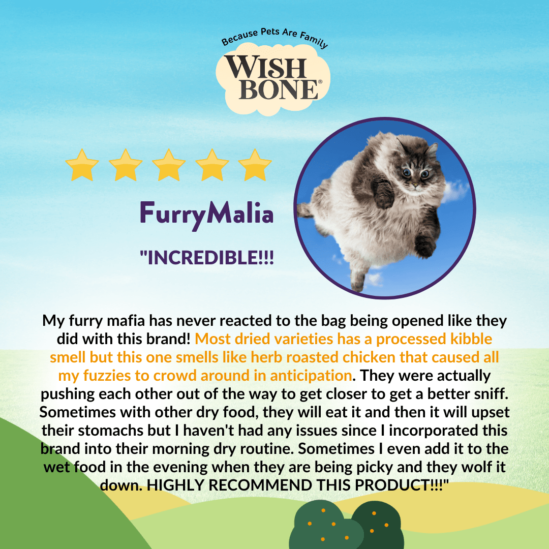 New Zealand salmon cat food by Wishbone