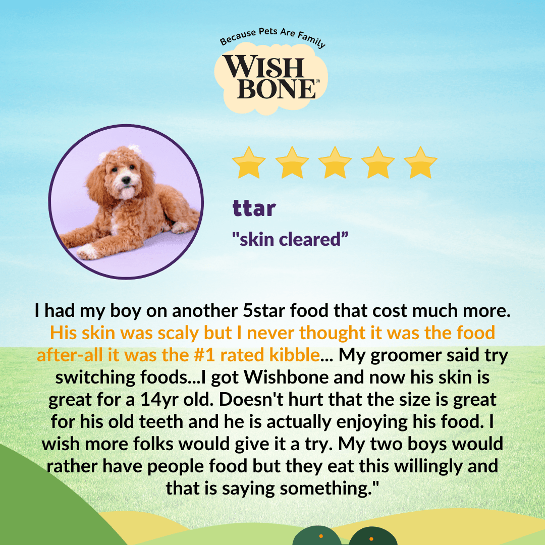 Wishbone Ocean for Dogs - New Zealand King Salmon 1.8kg, 9kg - Wishbone Pet Foods NZ