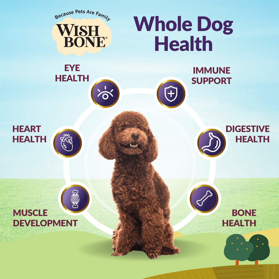 Wishbone Ocean for Dogs - New Zealand King Salmon 1.8kg, 9kg - Wishbone Pet Foods NZ