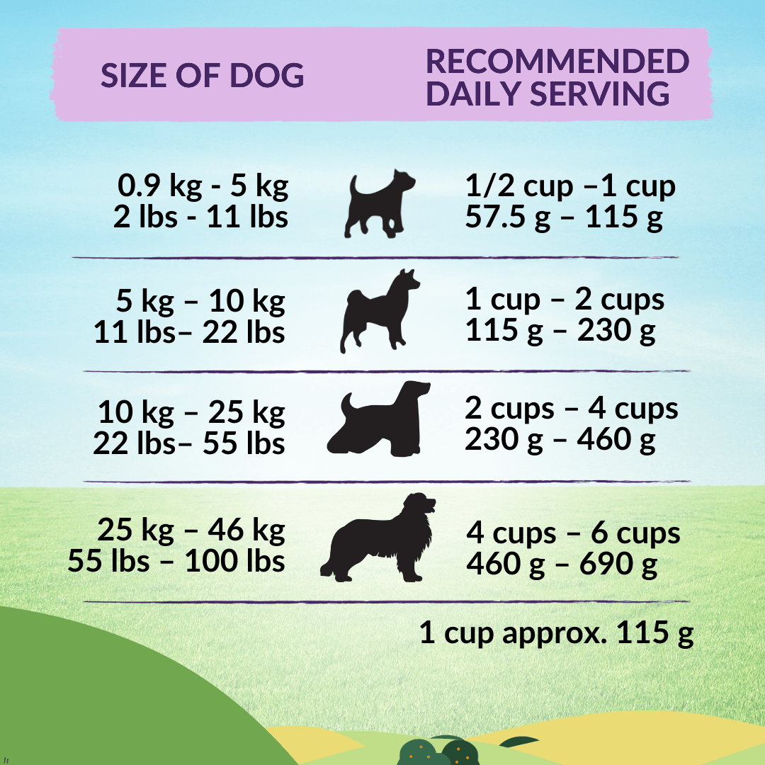 Premium New Zealand salmon dog food kibble