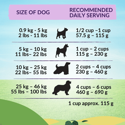 Premium New Zealand salmon dog food kibble