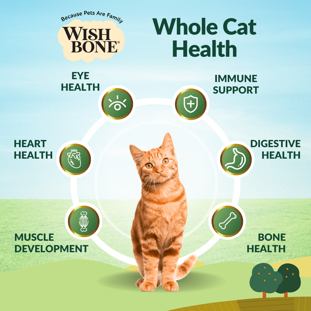 Wishbone Pasture for Cats - New Zealand Lamb 1.8kg, 4.5kg - Wishbone Pet Foods NZ