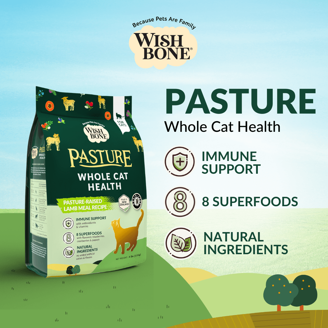 Wishbone Pasture for Cats - New Zealand Lamb 1.8kg, 4.5kg - Wishbone Pet Foods NZ