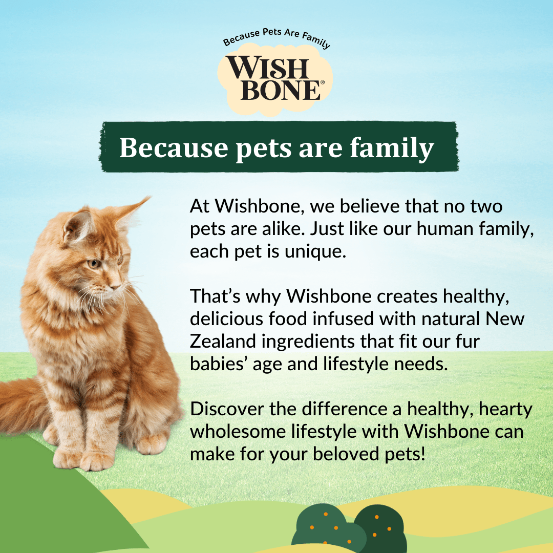 Wishbone Pasture for Cats - New Zealand Lamb 1.8kg, 4.5kg - Wishbone Pet Foods NZ