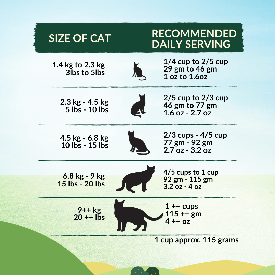 Wishbone Pasture for Cats - New Zealand Lamb 1.8kg, 4.5kg - Wishbone Pet Foods NZ