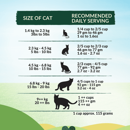 Wishbone Pasture for Cats - New Zealand Lamb 1.8kg, 4.5kg - Wishbone Pet Foods NZ