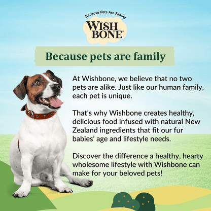 New Zealand lamb kibble for adult dogs