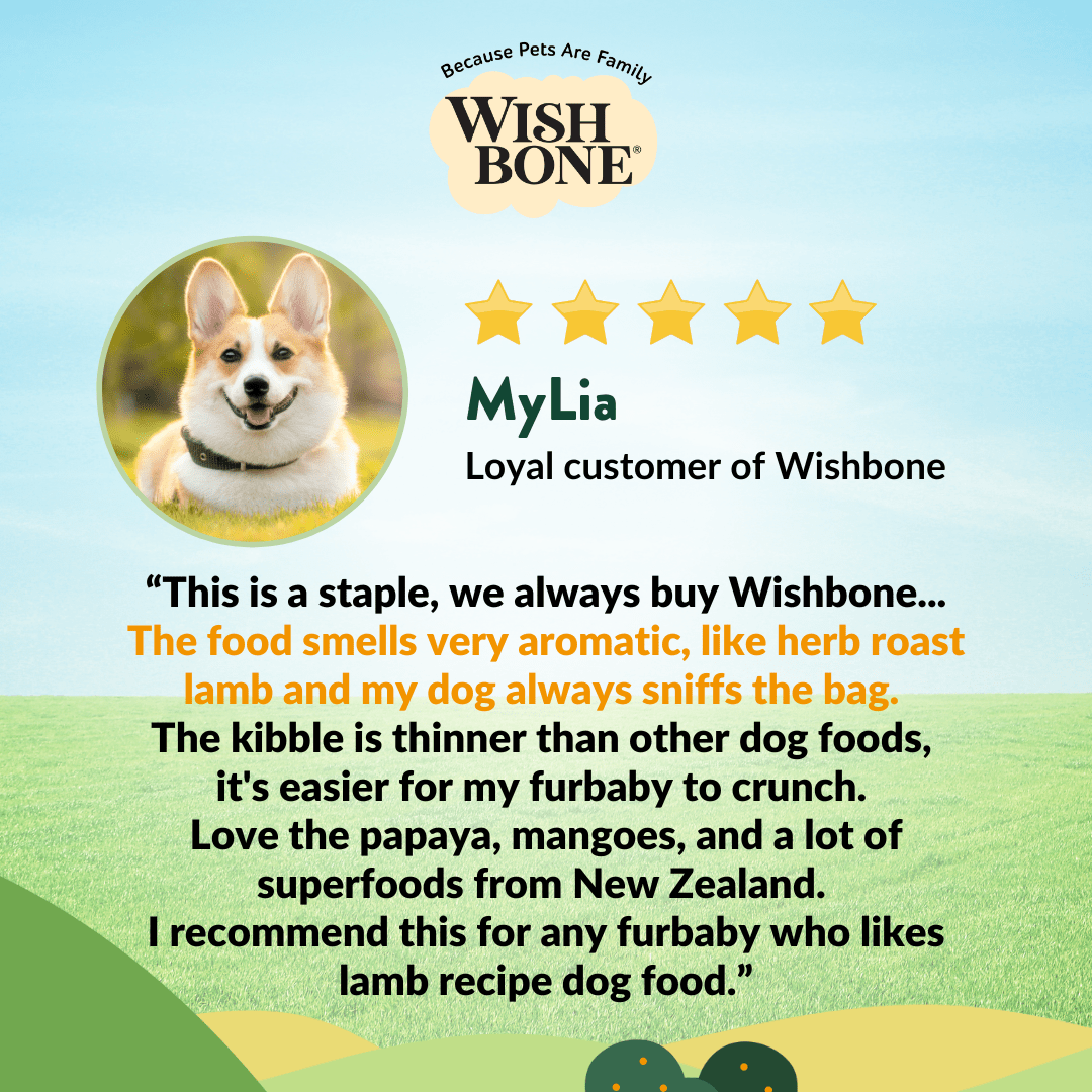 Healthy natural dog food with New Zealand lamb