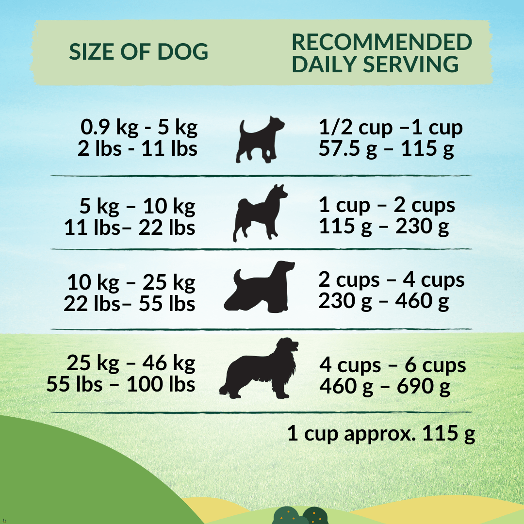 Complete and balanced lamb dog food recipe