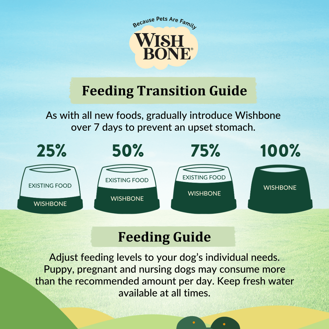 Healthy dry dog food with New Zealand lamb