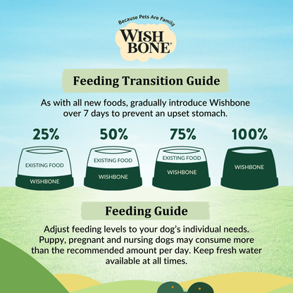 Healthy dry dog food with New Zealand lamb