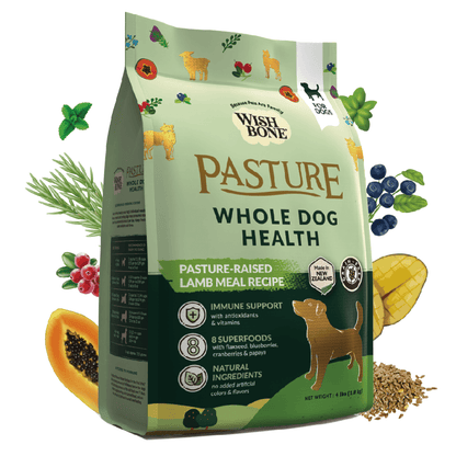 Natural New Zealand lamb dry dog food by Wishbone