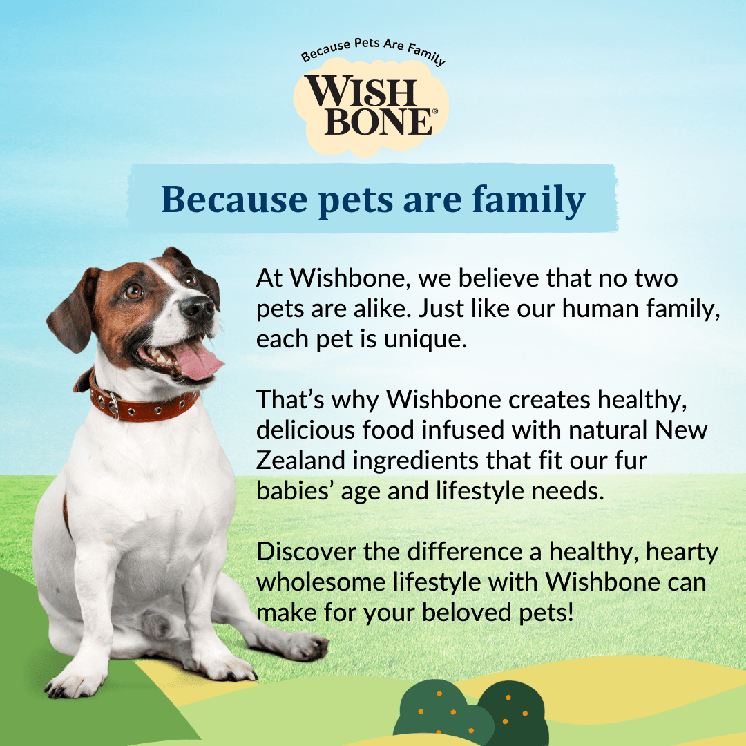 Wishbone Roost for Dogs - New Zealand Chicken 1.8kg, 9kg - Wishbone Pet Foods NZ