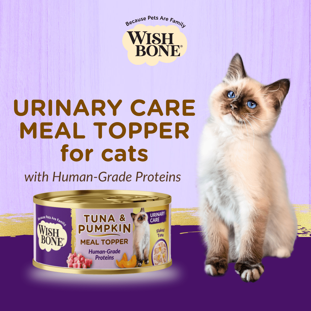 Wishbone Tuna & Pumpkin - Cat Urinary Care Topper in Cans 85g - Wishbone Pet Foods NZ