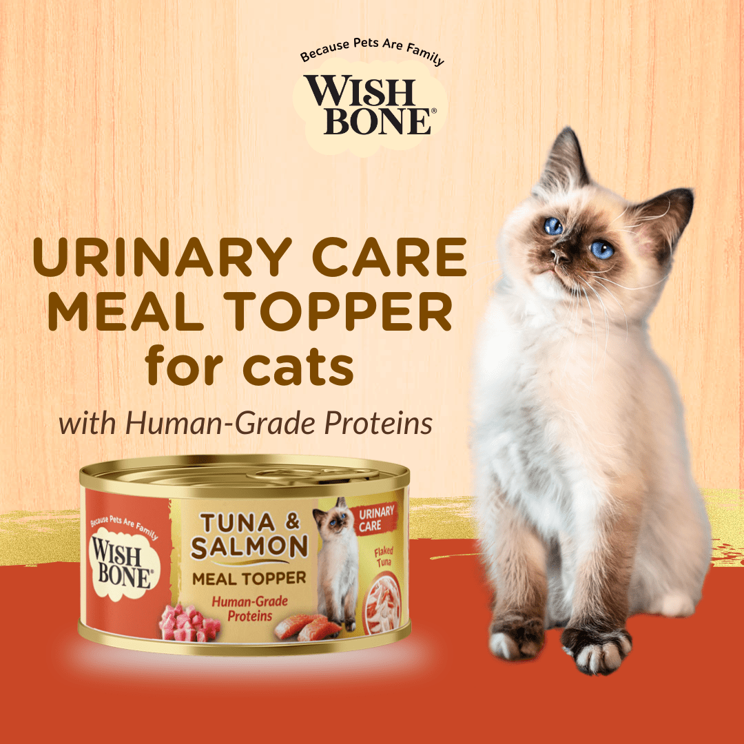 Wishbone Tuna & Salmon - Cat Urinary Care Topper in Cans 85g - Wishbone Pet Foods NZ